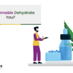 Can Cannabis Dehydrate You