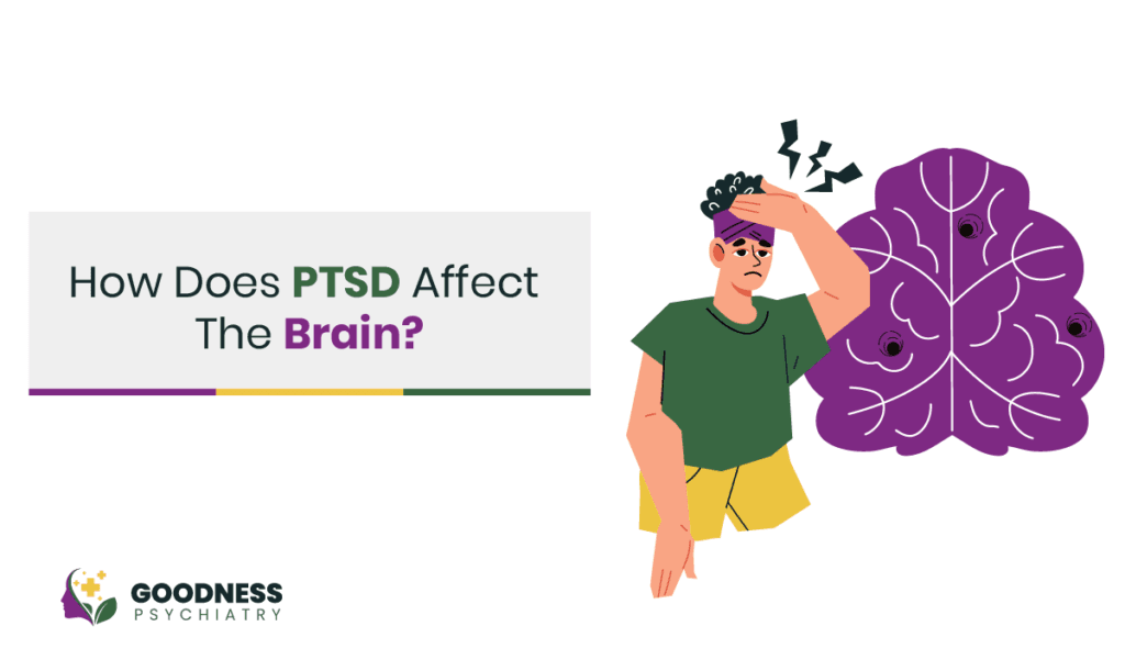 How Does Ptsd Affect The Brain